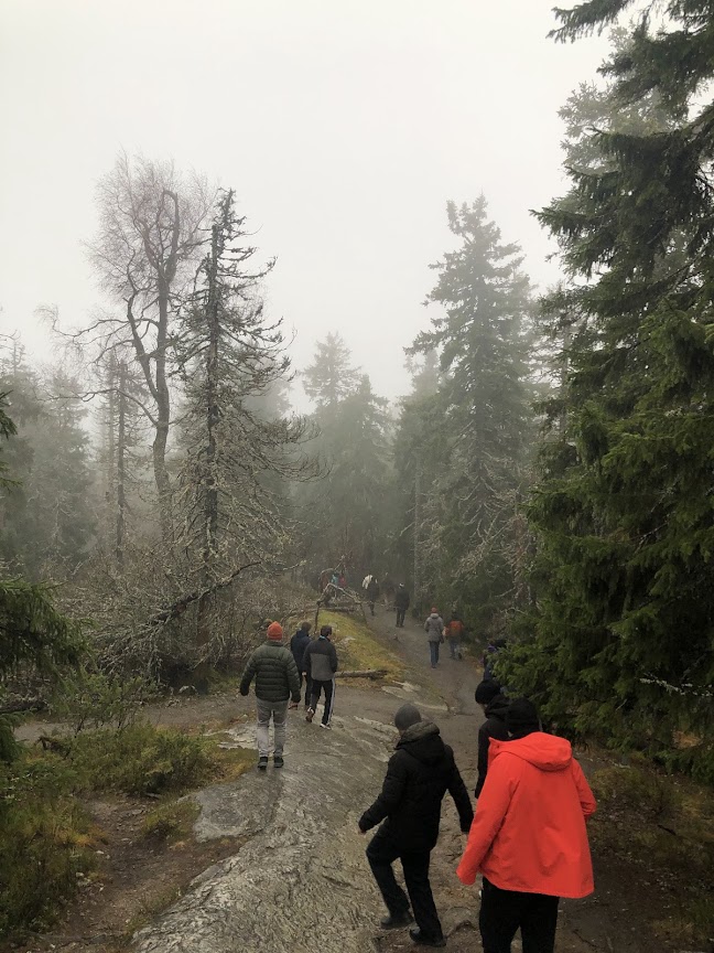 Koli Walk